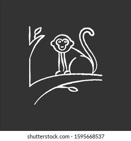 Monkey on tree chalk icon. Tropical country animal, mammal. Exploring exotic Indonesia islands wildlife. Primate sitting. Visiting Balinese forest fauna. Isolated vector chalkboard illustration