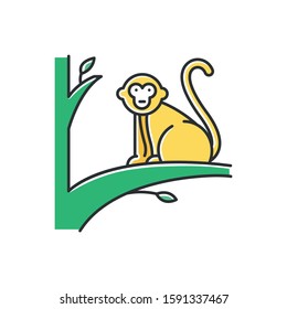 Monkey on tree color icon. Tropical country animal, mammal. Exploring exotic Indonesia islands wildlife. Primate sitting. Visiting Balinese forest fauna. Isolated vector illustration