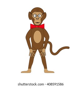 Monkey on white background in vector EPS 10