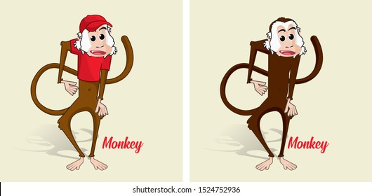 monkey pet, with t-shirt, vector illustration