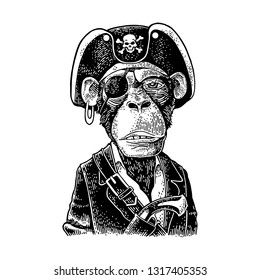Monkey pirate with gun dressed in a cocked hat, suit, eye patch. Vintage black engraving illustration. Isolated on white background. Hand drawn design element for label and poster