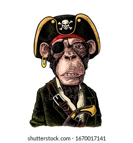 Monkey pirate with gun dressed in a cocked hat, suit, eye patch. Vintage color engraving illustration. Isolated on white background. Hand drawn design element for label and poster
