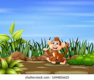 A monkey playing in the garden