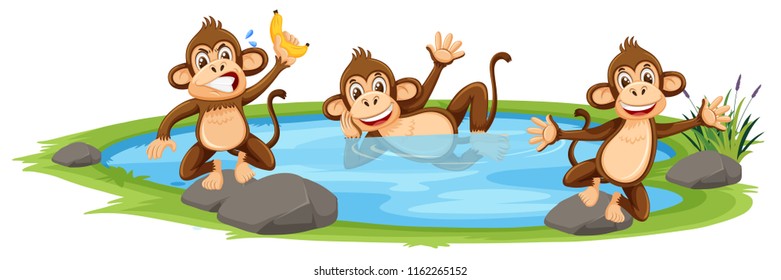 Affe spielt in der Wassergrafik