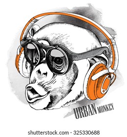 Monkey portrait in a Headphones and sunglasses. Vector illustration.