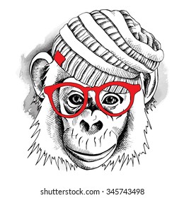 Monkey portrait in a knitted hipster hat with red glasses. Vector illustration.