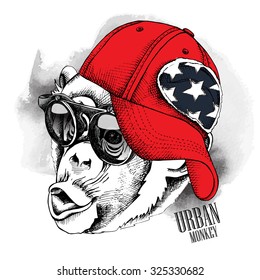 Monkey portrait in a red cap and sunglasses. Vector illustration.