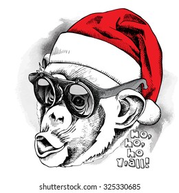 Monkey portrait in a red Santa's hat and sunglasses. Vector illustration.