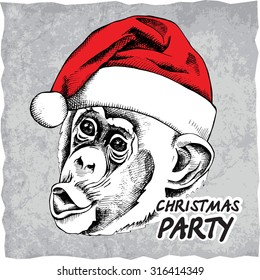 Monkey portrait in Santa's hat. Vector illustration.