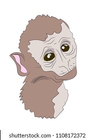 monkey portrait,  vector, white background