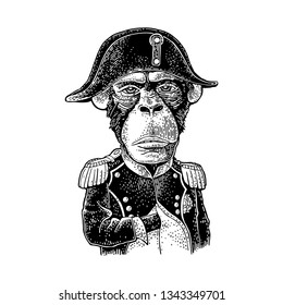 Monkey in the pose of Napoleon dressed in the french military uniform and cap. Vintage black engraving illustration. Isolated on white background. Hand drawn design element for poster, t-shirt