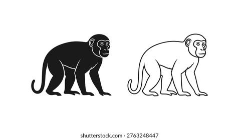 Monkey Posture Comparison Bipedal vs Quadrupedal Vector