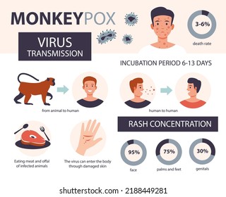 Monkey pox infographic. Methods of infection and areas affected by the disease. Flat vector illustration.
