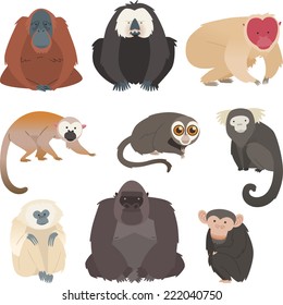 monkey and primate collection