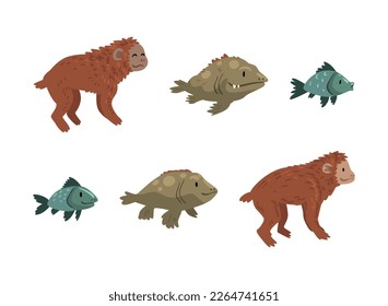 Monkey or Primate and Fish as Human Evolution Stage and Gradual Development Vector Set