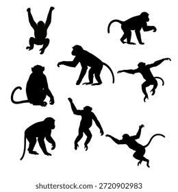 Conjunto de vetor da silhueta da vida selvagem do primata do macaco