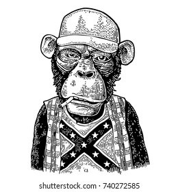 Monkey redneck smokes cigarette dressed  in human trucker cap, checkered shirt, t-shirt with the flag of the Confederate. Vintage black engraving illustration for poster. Isolated on white background