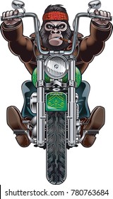 monkey riding motorcycle

