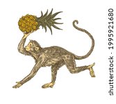 Monkey is running and holding a pineapple in his paws. Color. Engraving style. Vector illustration.