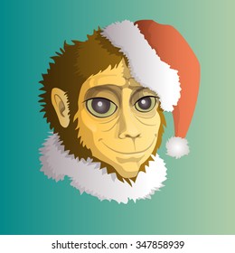 Monkey in Santa Hats