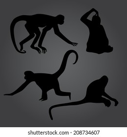 monkey shadows silhouette set eps10