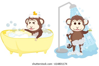 Monkey shower and bathe at bathroom. 