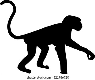 Monkey silhouette