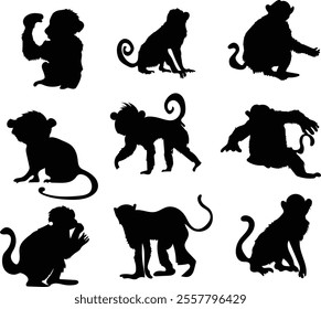 monkey silhouette 9 pcs set vector