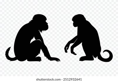 Silhueta de macaco Clipart preto, dois macacos Sitting Vetor Silhueta