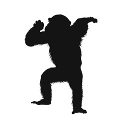 Monkey Silhouette. Black Monkey Isolated On White Background. Cutout Monkey. Hand Drawn Monkey Design. Vector Illustration. Monochrome Cartoon Shadow Vector Silhouette.
