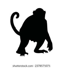 monkey silhouette. black monkey isolated on white background. cutout monkey. hand drawn monkey design. vector illustration. monochrome cartoon shadow vector silhouette.