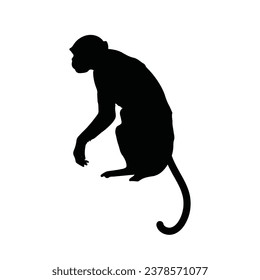 monkey silhouette. black monkey isolated on white background. cutout monkey. hand drawn monkey design. vector illustration. monochrome cartoon shadow vector silhouette.