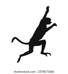 monkey silhouette. black monkey isolated on white background. cutout monkey. hand drawn monkey design. vector illustration. monochrome cartoon shadow vector silhouette.