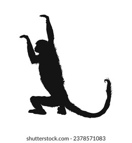 monkey silhouette. black monkey isolated on white background. cutout monkey. hand drawn monkey design. vector illustration. monochrome cartoon shadow vector silhouette.