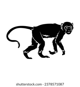 monkey silhouette. black monkey isolated on white background. cutout monkey. hand drawn monkey design. vector illustration. monochrome cartoon shadow vector silhouette.