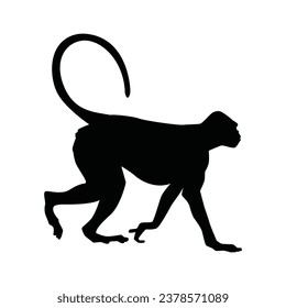 monkey silhouette. black monkey isolated on white background. cutout monkey. hand drawn monkey design. vector illustration. monochrome cartoon shadow vector silhouette.