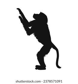 monkey silhouette. black monkey isolated on white background. cutout monkey. hand drawn monkey design. vector illustration. monochrome cartoon shadow vector silhouette.