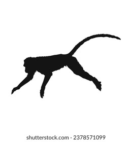 monkey silhouette. black monkey isolated on white background. cutout monkey. hand drawn monkey design. vector illustration. monochrome cartoon shadow vector silhouette.