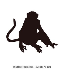 monkey silhouette. black monkey isolated on white background. cutout monkey. hand drawn monkey design. vector illustration. monochrome cartoon shadow vector silhouette.