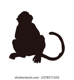 monkey silhouette. black monkey isolated on white background. cutout monkey. hand drawn monkey design. vector illustration. monochrome cartoon shadow vector silhouette.