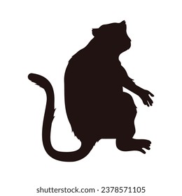 monkey silhouette. black monkey isolated on white background. cutout monkey. hand drawn monkey design. vector illustration. monochrome cartoon shadow vector silhouette.