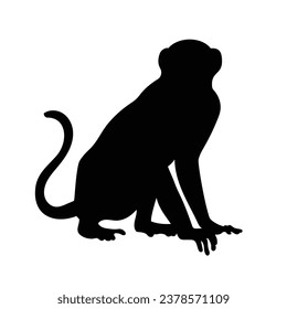 monkey silhouette. black monkey isolated on white background. cutout monkey. hand drawn monkey design. vector illustration. monochrome cartoon shadow vector silhouette.