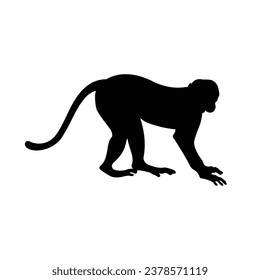 monkey silhouette. black monkey isolated on white background. cutout monkey. hand drawn monkey design. vector illustration. monochrome cartoon shadow vector silhouette.