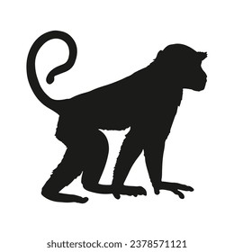 monkey silhouette. black monkey isolated on white background. cutout monkey. hand drawn monkey design. vector illustration. monochrome cartoon shadow vector silhouette.