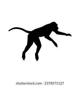 monkey silhouette. black monkey isolated on white background. cutout monkey. hand drawn monkey design. vector illustration. monochrome cartoon shadow vector silhouette.