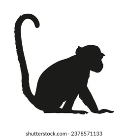 monkey silhouette. black monkey isolated on white background. cutout monkey. hand drawn monkey design. vector illustration. monochrome cartoon shadow vector silhouette.