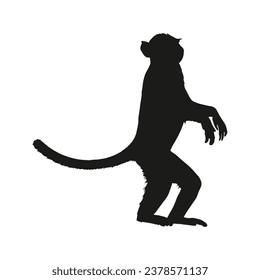 monkey silhouette. black monkey isolated on white background. cutout monkey. hand drawn monkey design. vector illustration. monochrome cartoon shadow vector silhouette.