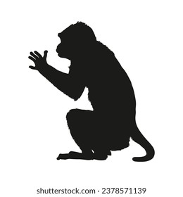 monkey silhouette. black monkey isolated on white background. cutout monkey. hand drawn monkey design. vector illustration. monochrome cartoon shadow vector silhouette.