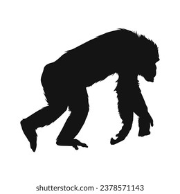 monkey silhouette. black monkey isolated on white background. cutout monkey. hand drawn monkey design. vector illustration. monochrome cartoon shadow vector silhouette.