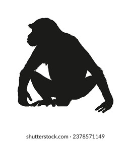 monkey silhouette. black monkey isolated on white background. cutout monkey. hand drawn monkey design. vector illustration. monochrome cartoon shadow vector silhouette.